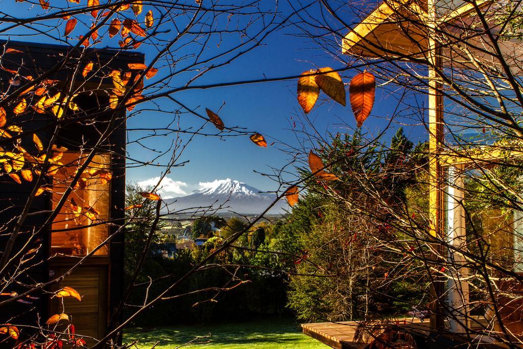 Las Magnolias Lofts Villa Puerto Varas Rum bild