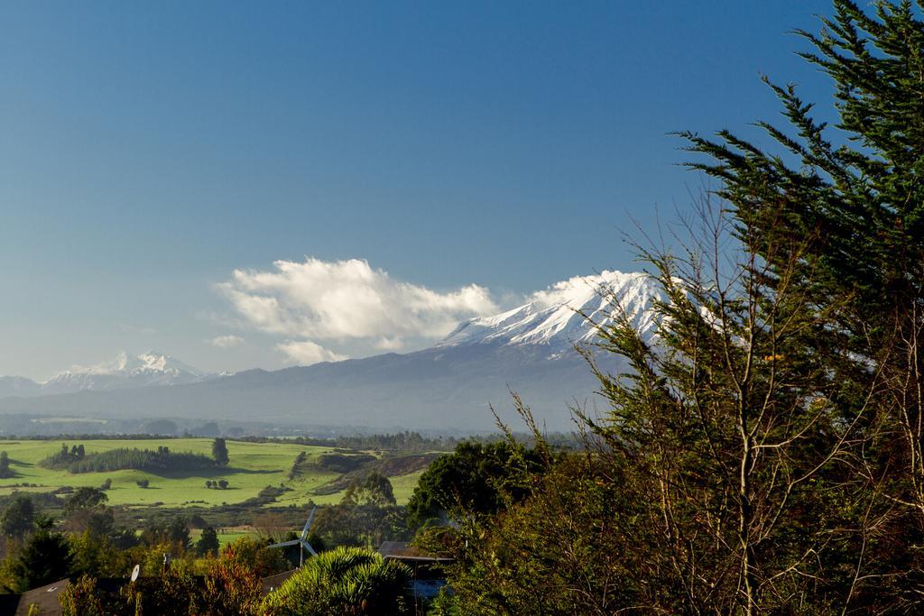 Las Magnolias Lofts Villa Puerto Varas Rum bild