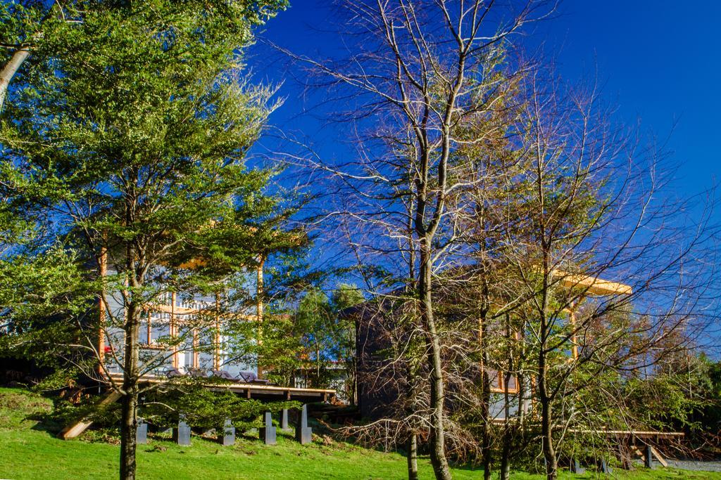 Las Magnolias Lofts Villa Puerto Varas Rum bild